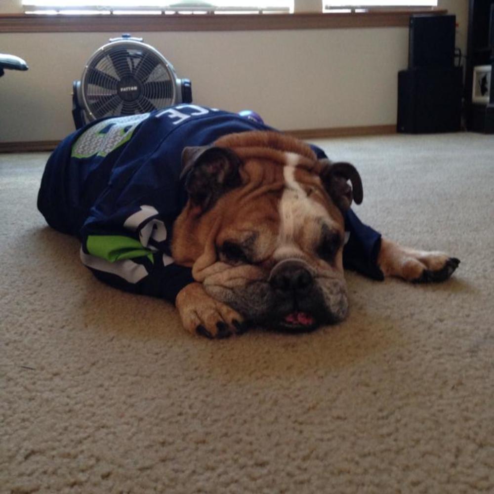 Meet your Posher, Winston